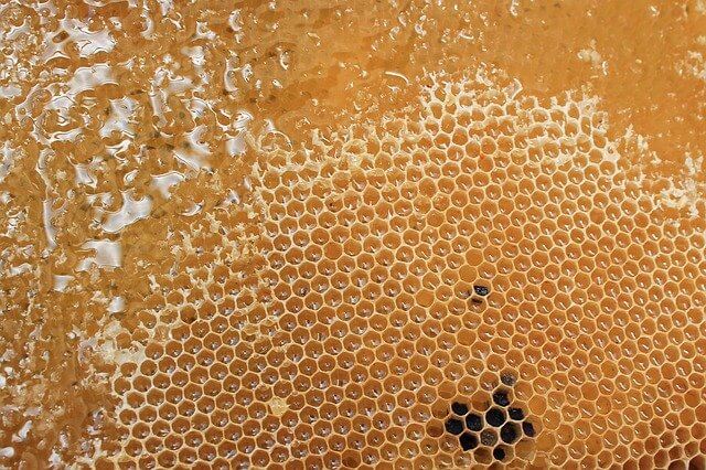 honeycomb_640 honeycomb_640